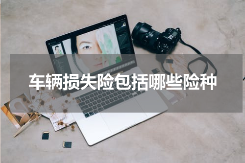 车辆损失险包括哪些险种