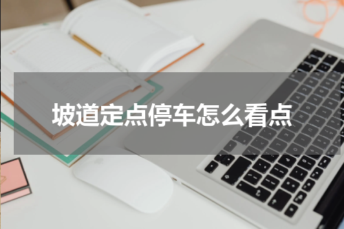 坡道定点停车怎么看点