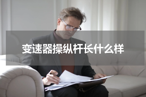 变速器操纵杆长什么样