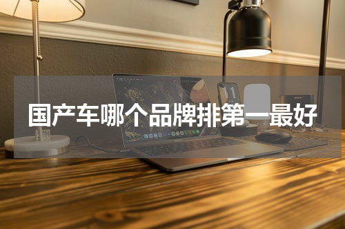 国产车哪个品牌排第一最好