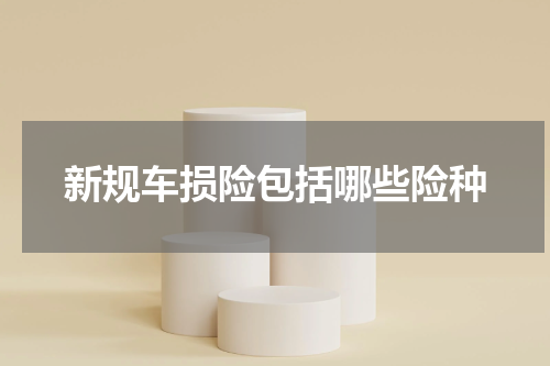 新规车损险包括哪些险种