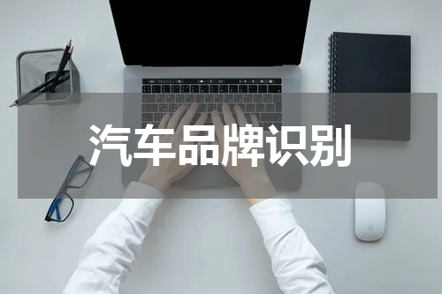 汽车品牌识别