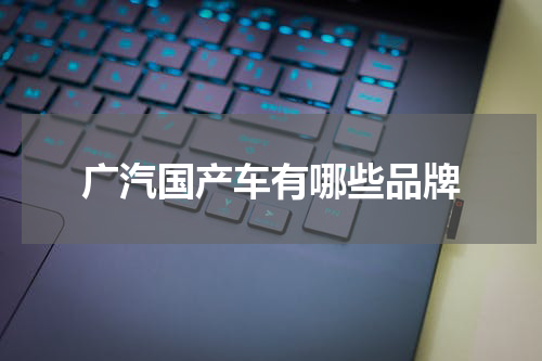 广汽国产车有哪些品牌