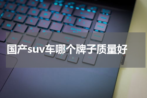 国产suv车哪个牌子质量好