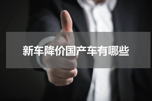 新车降价国产车有哪些