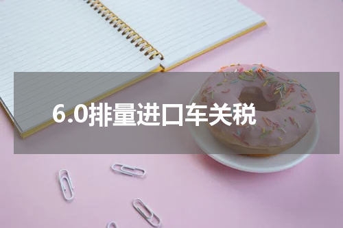 6.0排量进口车关税