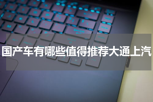 国产车有哪些值得推荐大通上汽