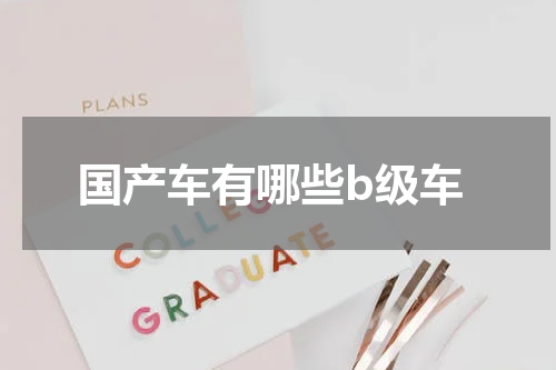 国产车有哪些b级车