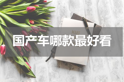 国产车哪款最好看