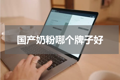 国产奶粉哪个牌子好