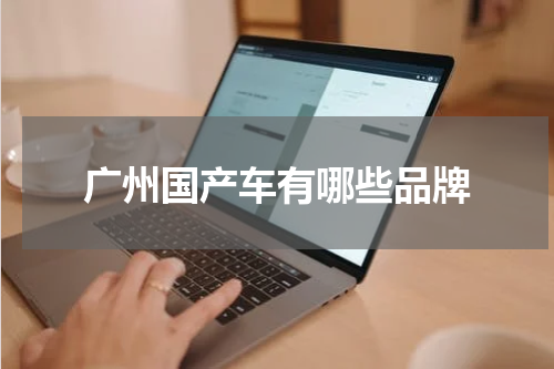 广州国产车有哪些品牌