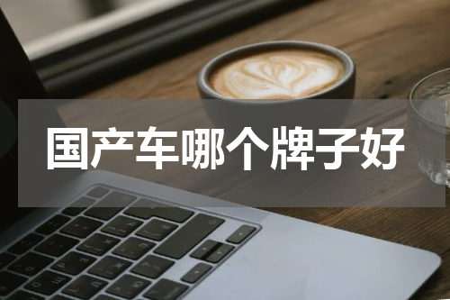 国产车哪个牌子好