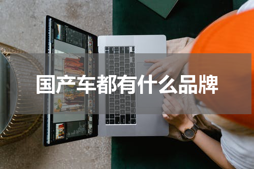 国产车都有什么品牌
