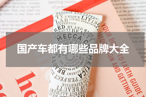 国产车都有哪些品牌大全