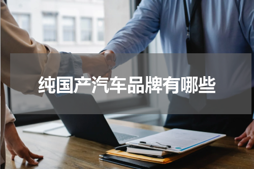 纯国产汽车品牌有哪些