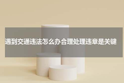  遇到交通违法怎么办合理处理违章是关键