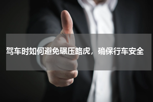  驾车时如何避免碾压路虎，确保行车安全