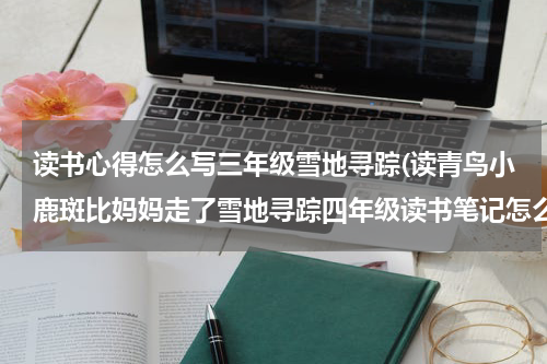 读书心得怎么写三年级雪地寻踪(读青鸟小鹿斑比妈妈走了雪地寻踪四年级读书笔记怎么写)