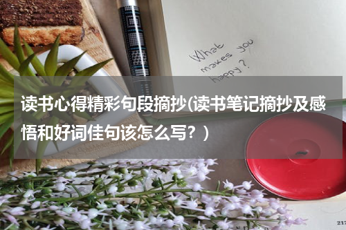 读书心得精彩句段摘抄(读书笔记摘抄及感悟和好词佳句该怎么写？)