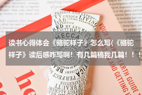 读书心得体会《骆驼祥子》怎么写(《骆驼祥子》读后感咋写啊！有几篇稿我几篇！！！！)