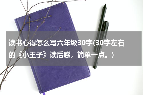 读书心得怎么写六年级30字(30字左右的《小王子》读后感，简单一点。)