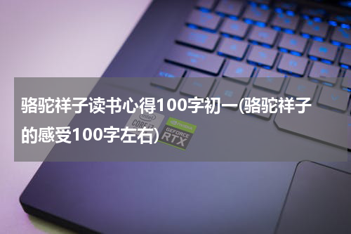 骆驼祥子读书心得100字初一(骆驼祥子的感受100字左右)