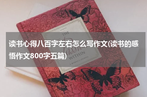 读书心得八百字左右怎么写作文(读书的感悟作文800字五篇)