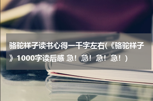 骆驼祥子读书心得一千字左右(《骆驼祥子》1000字读后感 急！急！急！急！)