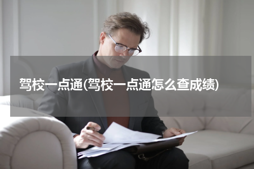 驾校一点通(驾校一点通怎么查成绩)