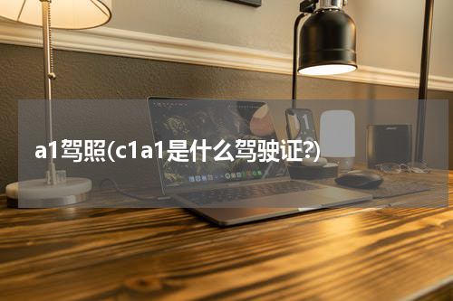 a1驾照(c1a1是什么驾驶证?)