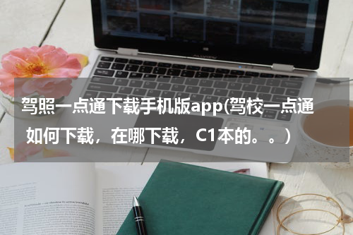 驾照一点通下载手机版app(驾校一点通 如何下载，在哪下载，C1本的。。)