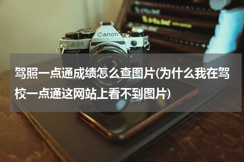 驾照一点通成绩怎么查图片(为什么我在驾校一点通这网站上看不到图片)