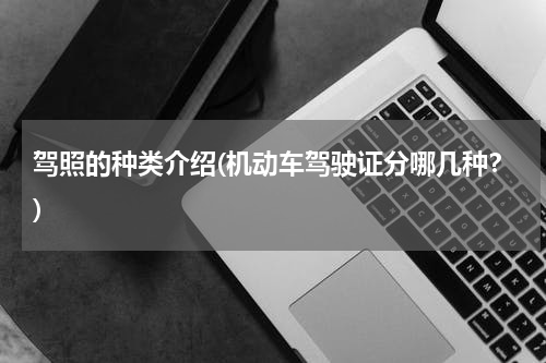 驾照的种类介绍(机动车驾驶证分哪几种？)