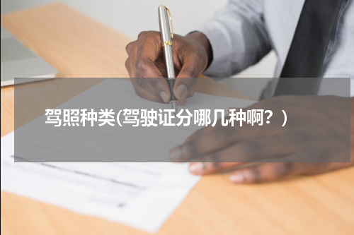 驾照种类(驾驶证分哪几种啊？)