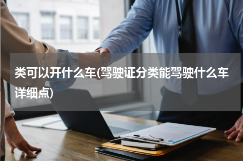 类可以开什么车(驾驶证分类能驾驶什么车详细点)