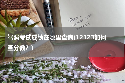 驾照考试成绩在哪里查询(12123如何查分数？)