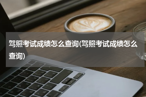 驾照考试成绩怎么查询(驾照考试成绩怎么查询)