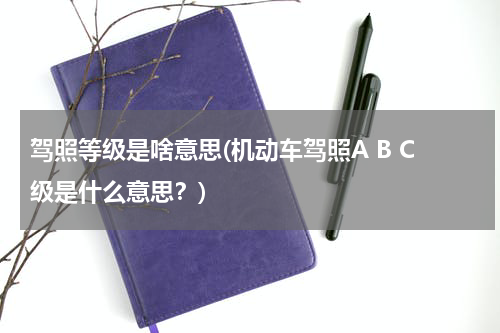 驾照等级是啥意思(机动车驾照A B C级是什么意思？)