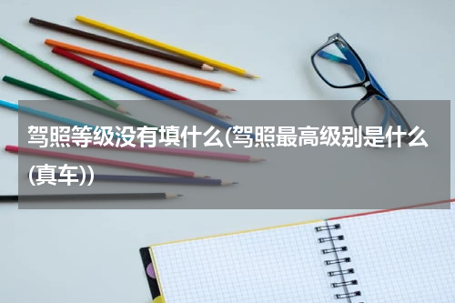驾照等级没有填什么(驾照最高级别是什么(真车))