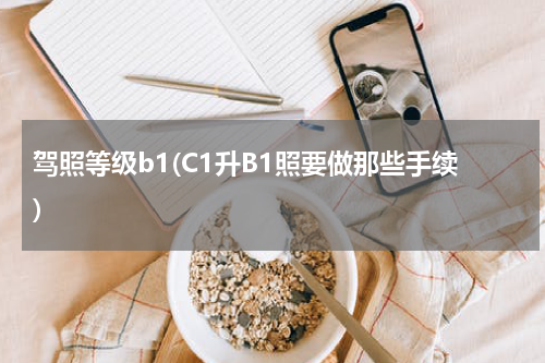 驾照等级b1(C1升B1照要做那些手续)