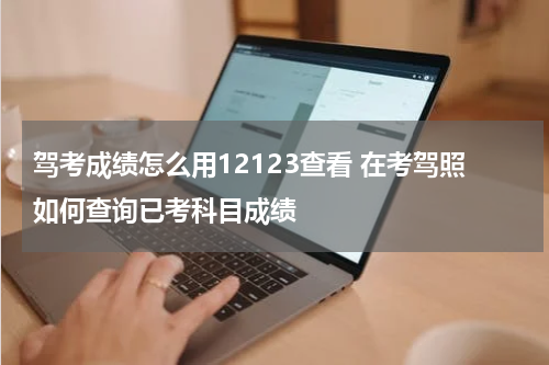 驾考成绩怎么用12123查看 在考驾照如何查询已考科目成绩