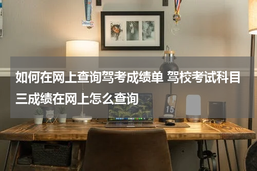 如何在网上查询驾考成绩单 驾校考试科目三成绩在网上怎么查询