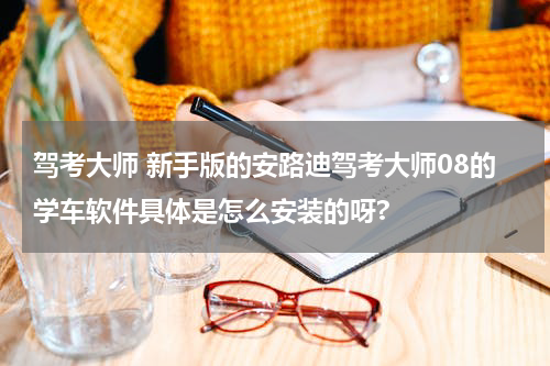 驾考大师 新手版的安路迪驾考大师08的学车软件具体是怎么安装的呀?