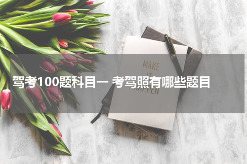 驾考100题科目一 考驾照有哪些题目