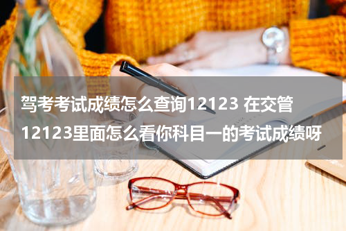 驾考考试成绩怎么查询12123 在交管12123里面怎么看你科目一的考试成绩呀
