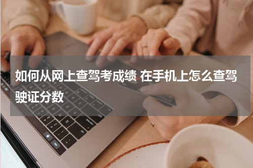 如何从网上查驾考成绩 在手机上怎么查驾驶证分数