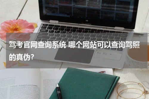 驾考官网查询系统 哪个网站可以查询驾照的真伪？