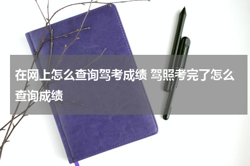 在网上怎么查询驾考成绩 驾照考完了怎么查询成绩