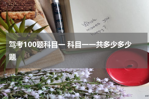 驾考100题科目一 科目一一共多少多少题