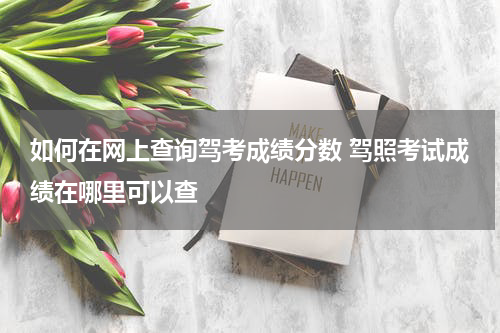 如何在网上查询驾考成绩分数 驾照考试成绩在哪里可以查